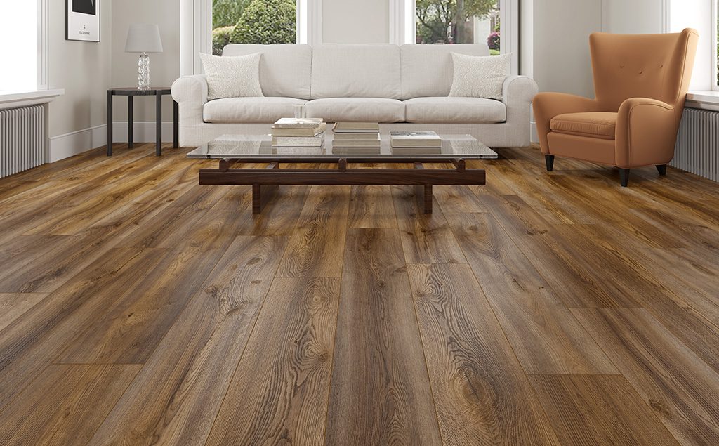 Vivid3D Timberline Scene